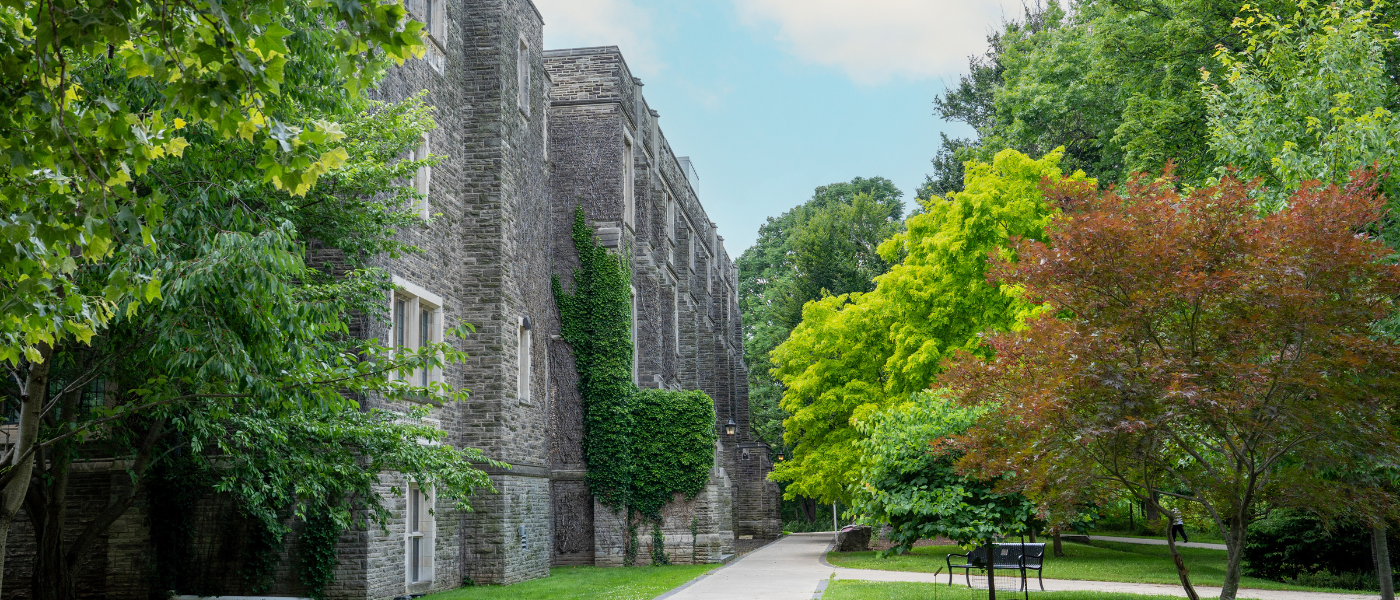 McMaster main campus in the summer.